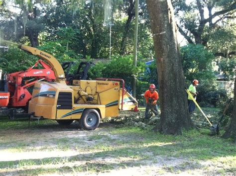 tree service dade city florida.